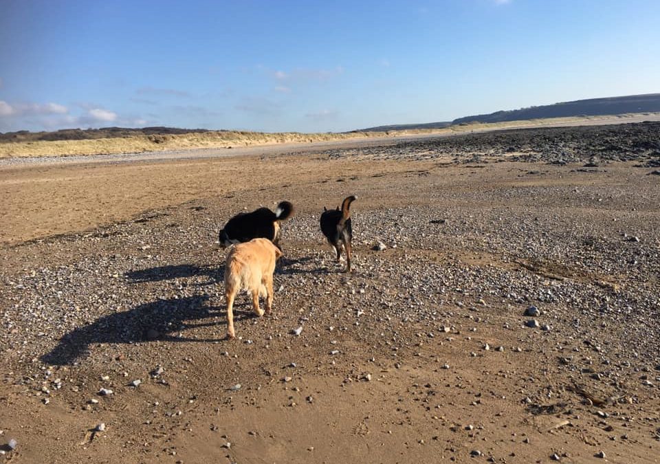 What a beautiful day