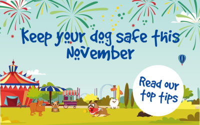 Keep your dog safe this November